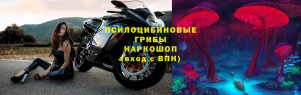 MESCALINE Аркадак